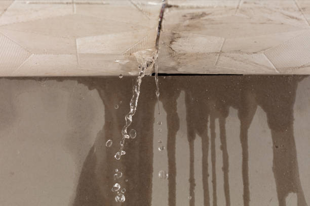 Professional Burst Pipe Cleanup technician working in Bellevue, OH